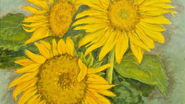 Sunflowers