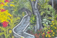 Escape Beneath the Flame Tree