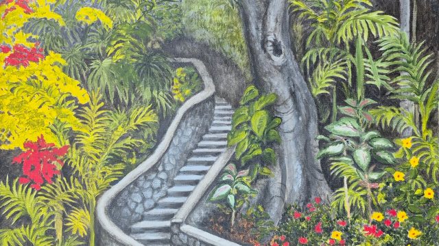Escape Beneath the Flame Tree