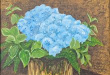 Blue Hydrangea