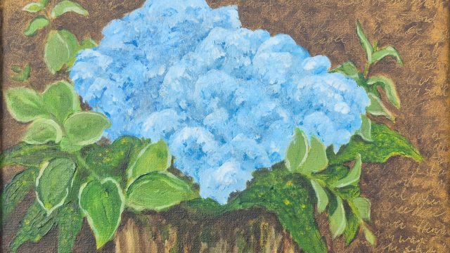 Blue Hydrangea